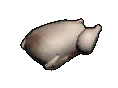 A raw chicken icon.