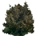 CMR3_Xbox_TEMP_bsh_01.png