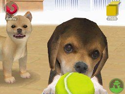 NintendogsJanuary2005Screenshot7.jpg NintendogsJanuary2005Screenshot7.jpg