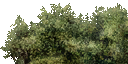 CMR3_Xbox_TEMP_bsh_sh1a.png