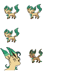 pmpl_505_frnt_m_r802.png pmpl_505_frnt_m_r802.png