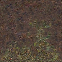 DungeonSiege-b_t_for02_pth_04x04-e.png