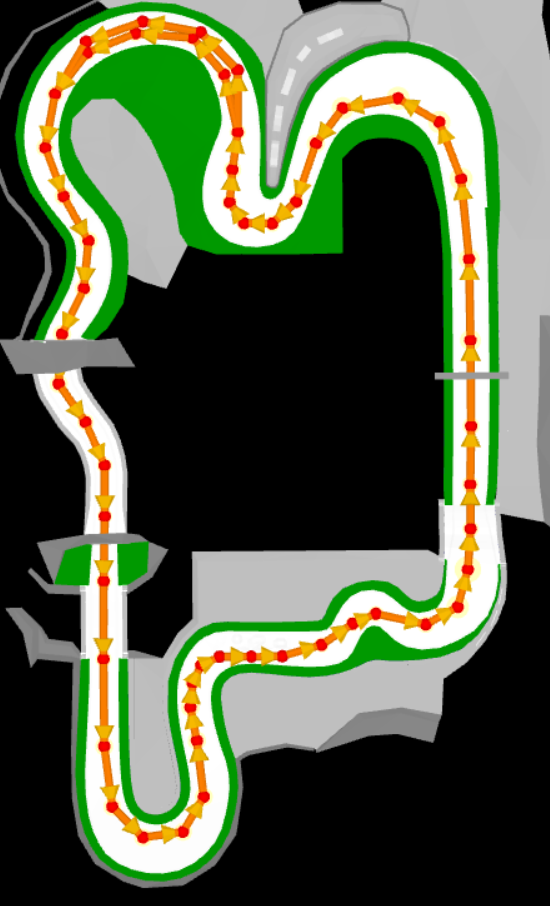 MKWii_final_GCN_Mario_Circuit_CPU_routes.png