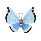 NPS_p034-MA.png
