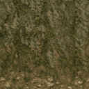 TFA2004_amazon2Level_JUNGLE_RIVER_FOLIAGE3.png TFA2004_amazon2Level_JUNGLE_RIVER_FOLIAGE3.png