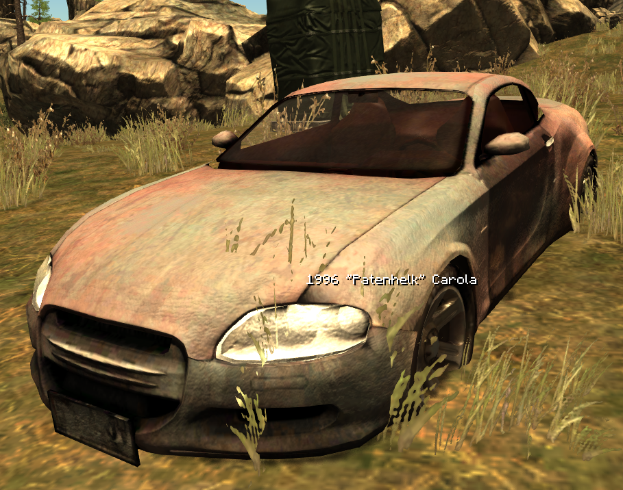 The car.
