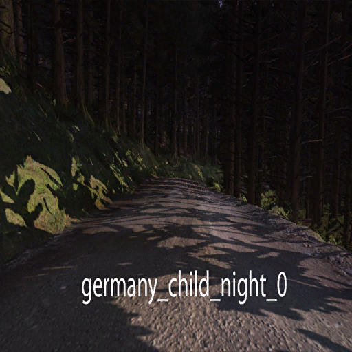 DiRTRally-germany_child_night_0.png