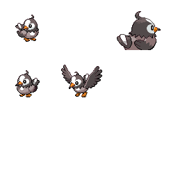 pmpl_429_frnt_m_r2236.png pmpl_429_frnt_m_r2236.png