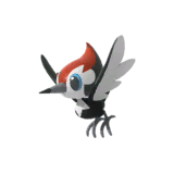 NPS_p028-B.png