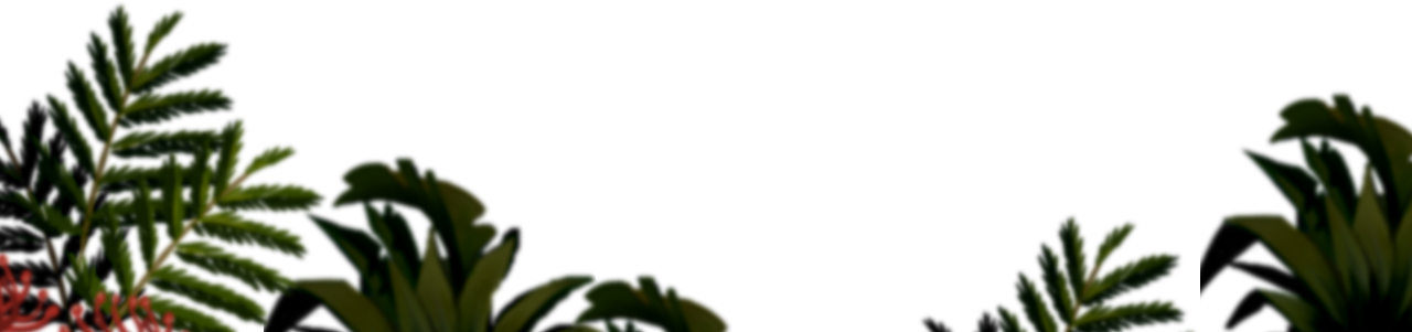 MDV_Toki_(14).PNG MDV_Toki_(14).PNG