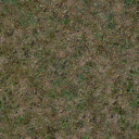 Texture009.png