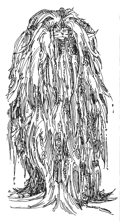 The Mane of Elsweyr, Nhad-hatta.