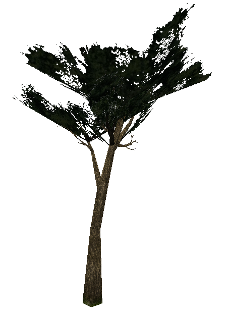 treetree6_2.mdl. Idle animation sways in the wind. Seems identical to tree_tree6.mdl otherwise. treetree6_2.mdl. Idle animation sways in the wind. Seems identical to tree_tree6.mdl otherwise.