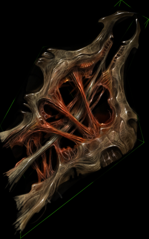 SoulReaver1_wing1.jpg SoulReaver1_wing1.jpg