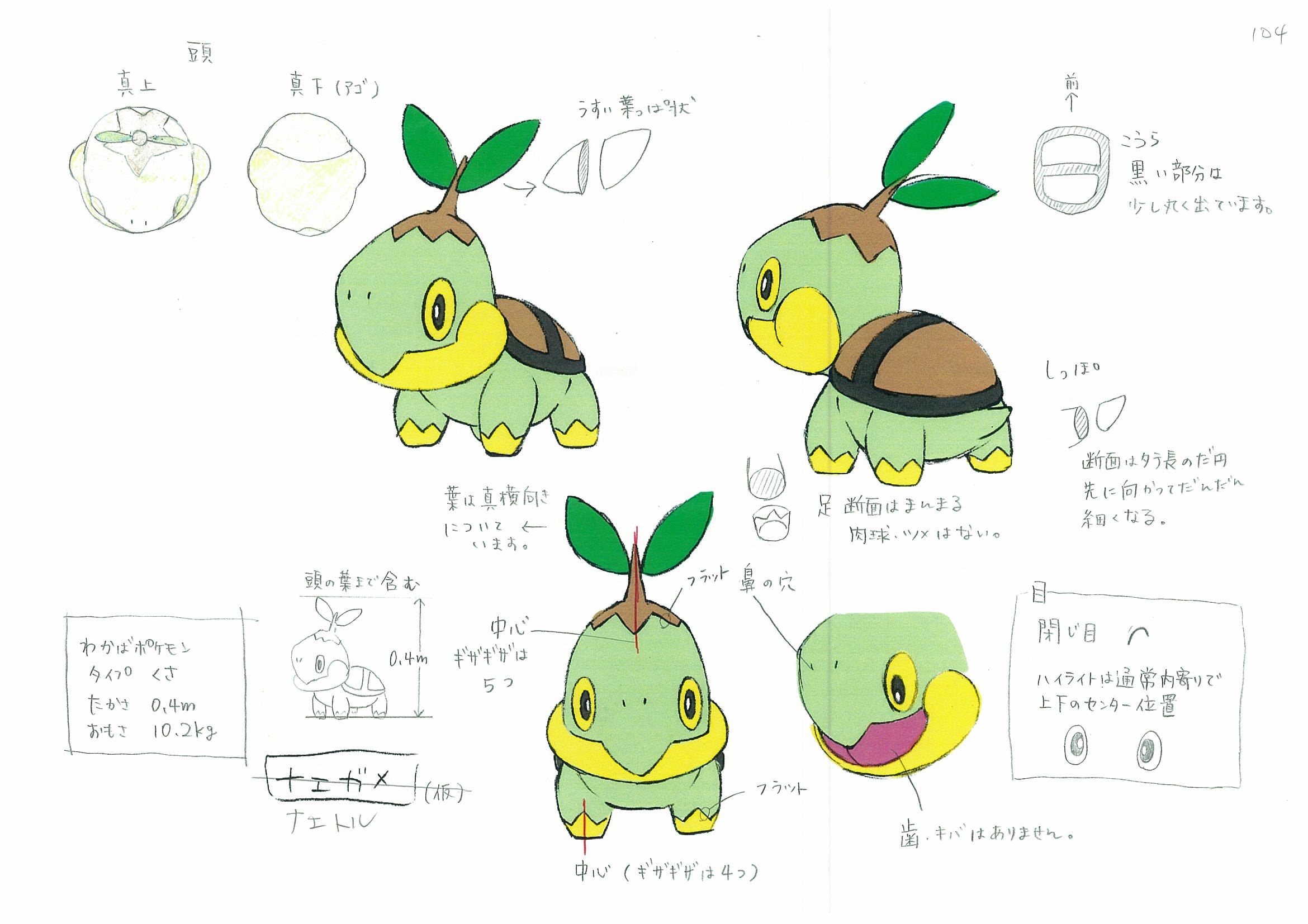 PokeDP_ConceptArt_設定画ナエトル.jpg