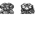 PM2B_003.CBB.w128.png