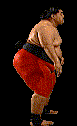 wwfwrestarc-Y3LB3A.gif