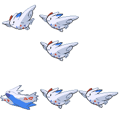 pmpl_495_frnt_m_r4293.png pmpl_495_frnt_m_r4293.png