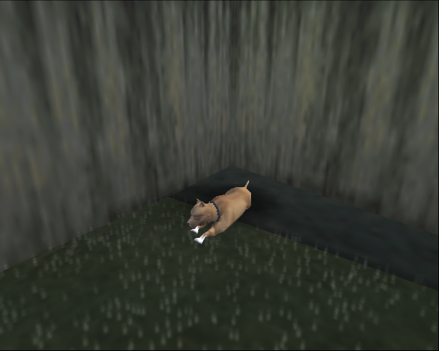 5_06_First_Guard_Dog.