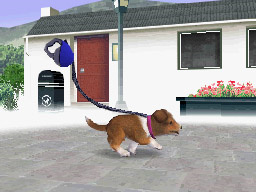 NDG_sanpo08.jpg NDG_sanpo08.jpg