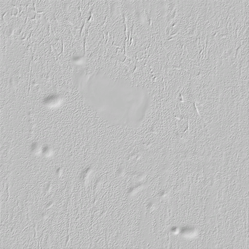 Lbp3_r513946_pr_blistered_paint_normal.tex.png