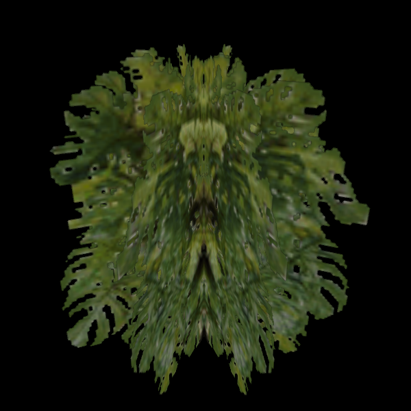 Used (SC_Bushes1) Used (SC_Bushes1)
