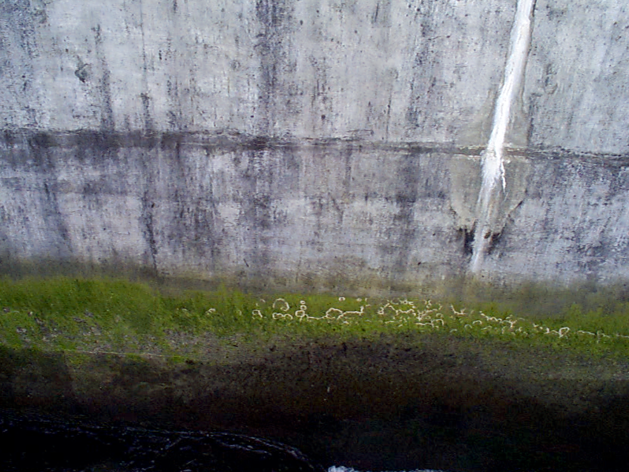 HLRawTexture_3_3_2230.png HLRawTexture_3_3_2230.png