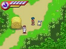 Now we're gonna have to pay for damage of property. Thanks a lot, Torchic. Now we're gonna have to pay for damage of property. Thanks a lot, Torchic.