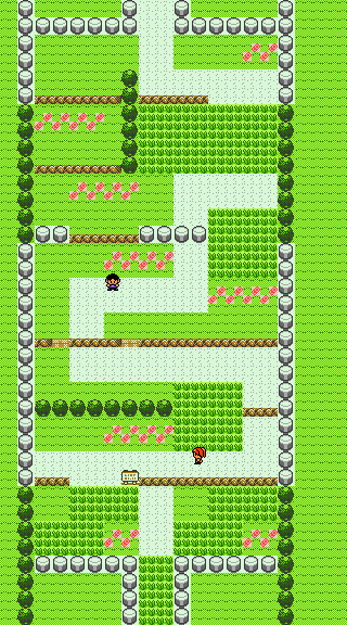 Pokemon_GS_SW99_Route_1.png