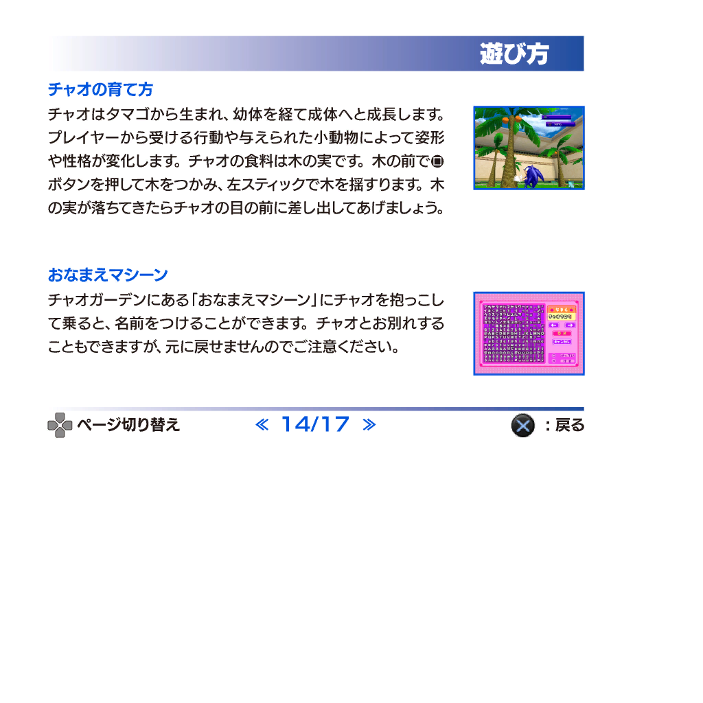 SonicAdventureDX2011_PS3Manual14.png