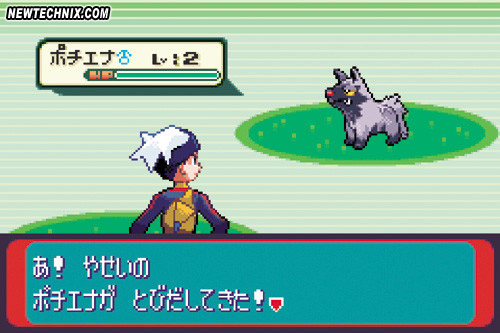 PKMNRS_Sept15_02_Battle1.jpg