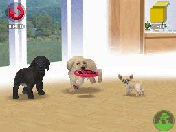 NintendogsJanuary2005Screenshot2.jpg NintendogsJanuary2005Screenshot2.jpg