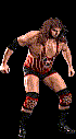 wwfwrestarc-A4JT4A.gif