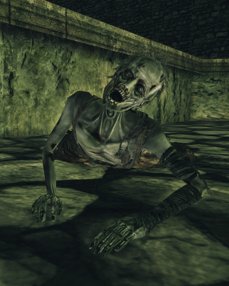 DSII-UndeadSupplicant-InstncClr7.png