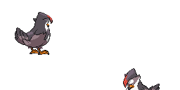 PokeBW_Development_398_back2_m_r8334.png PokeBW_Development_398_back2_m_r8334.png