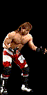 wwfwrestarc-S4WA4B.gif