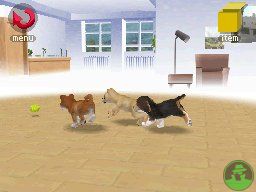 NintendogsJanuary2005Screenshot5.jpg NintendogsJanuary2005Screenshot5.jpg