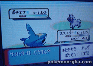 PokemonRS-Festa2002-004.png PokemonRS-Festa2002-004.png