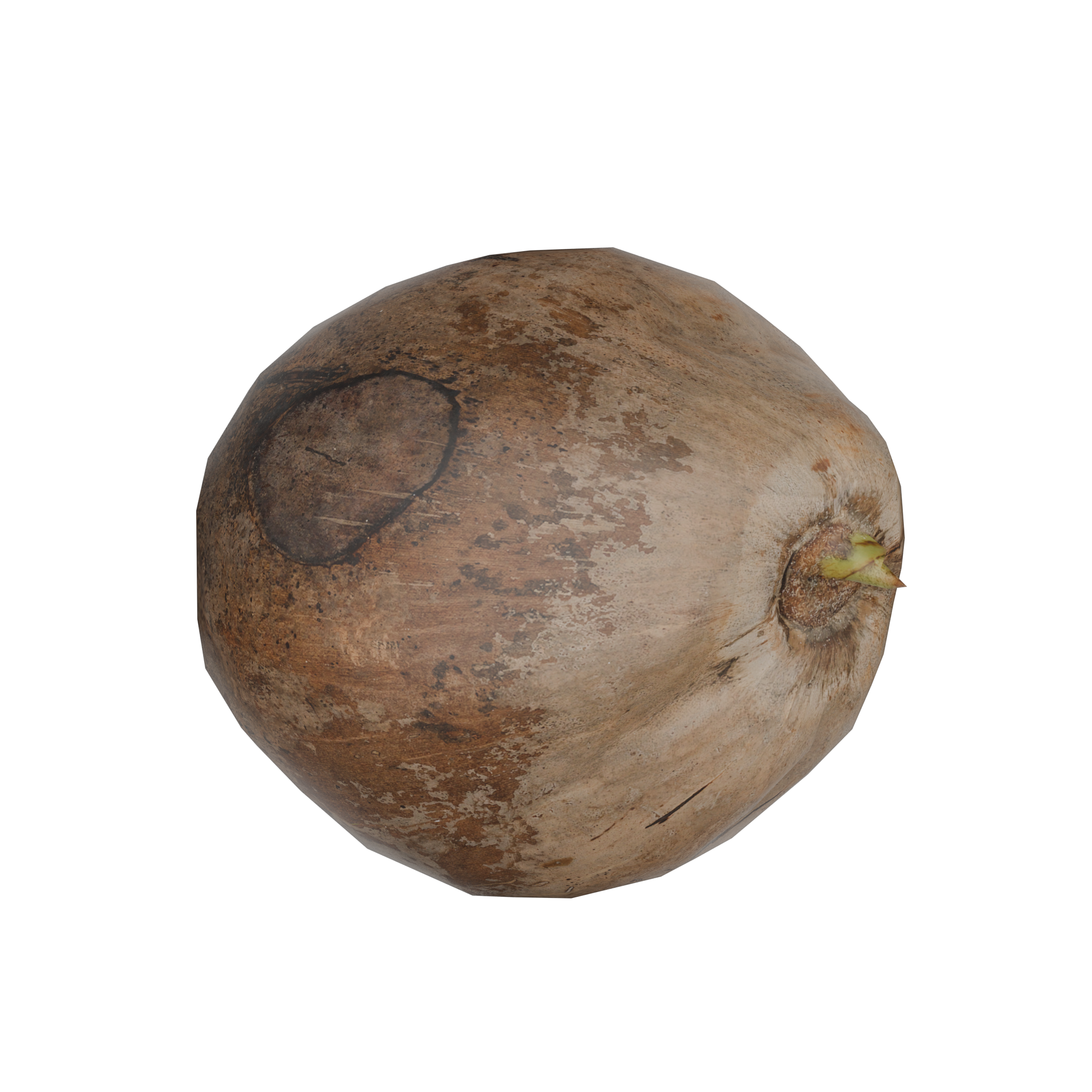 RLDB_Coconut_udrlcdmqx.png