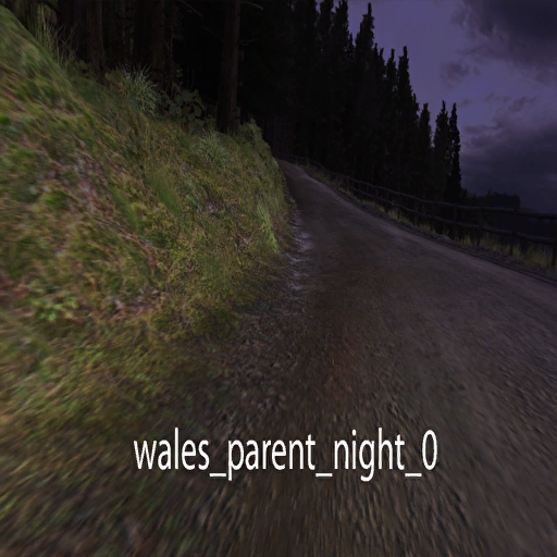 DiRTRally-wales_parent_night_0.png