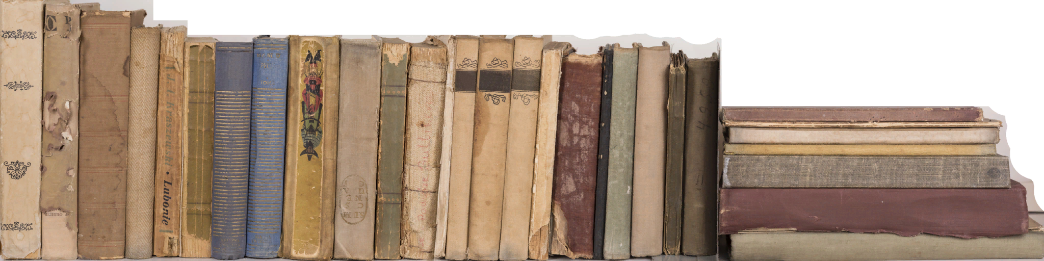 Amanda_1_Demo_BookShelf7.png