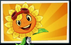 Solar Flare placeholder seed packet Solar Flare placeholder seed packet