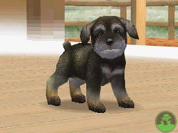 NintendogsMarch14-2005Screenshot2.jpg NintendogsMarch14-2005Screenshot2.jpg