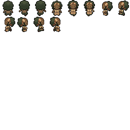 PokeB2W2_Development_OW_old_leader2_r51831.png
