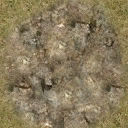 DungeonSiege2-b_t_grs02_flr_stg-04x04-a.png DungeonSiege2-b_t_grs02_flr_stg-04x04-a.png