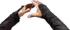 swjan95_2001.png swjan95_2001.png