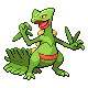 PokeDP_Development_BattleSprite_Jun27_Front_M254.png PokeDP_Development_BattleSprite_Jun27_Front_M254.png