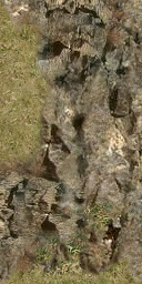 DungeonSiege-b_t_grs02_wal_04x08-d.png