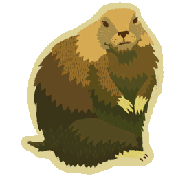 LBP_gopher.tex.png
