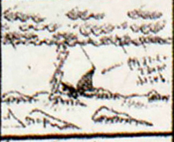 Zlaw_concept24.jpg